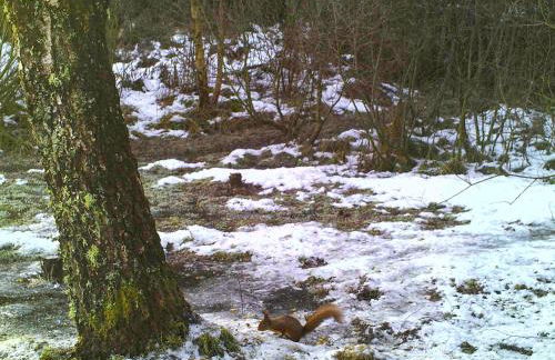 Rowan House - Foto 38