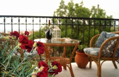 Pygolampida Studios - Photo 11