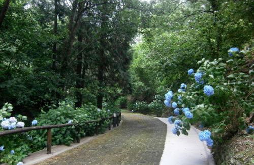 Il Bosco di Campo Marzano studios - Foto 42