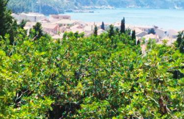 M&D appartments - Photo 27