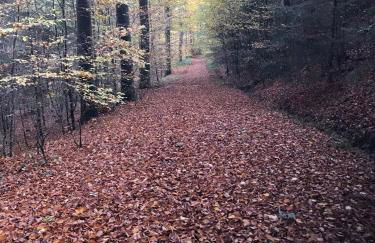 Weite Blicke in Horn - Foto 25