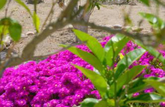 Gemilos Nook - Foto 35