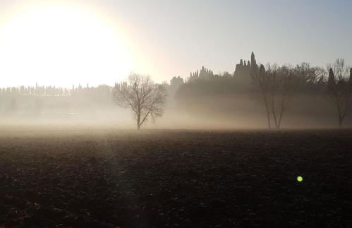 Agriturismo Le Caldane - Photo 21