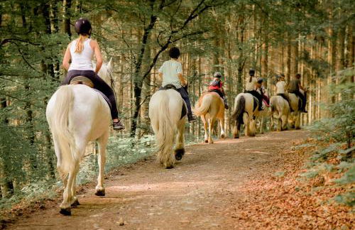 Nengshof Ferienhäuser Sonnenblume und Heublume - Foto 53