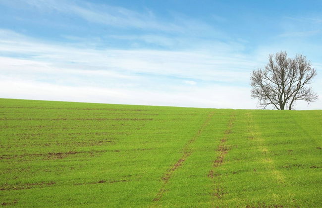 Spacious Holiday Home in Wildemann With Garden - Foto 76