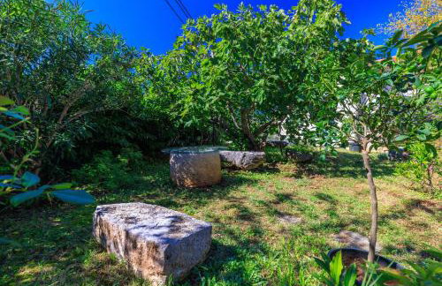 Apartments Insula Insule - Foto 38