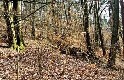 Ferienhaus Kellerwald - Foto 19