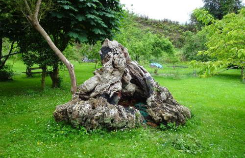 Apartamentos El Llago - Photo 54