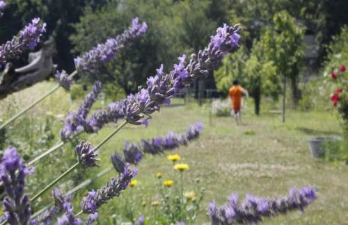 Gartenhaus Land-Idylle in der Stadt - Foto 35