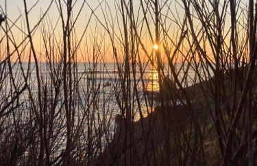 Gîte les Oyats 2 personnes 50m de la mer - Foto 31