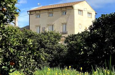 Hort de les Oronetes - Foto 11