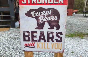 Lazy Bear Retreat by the Creek - Foto 12