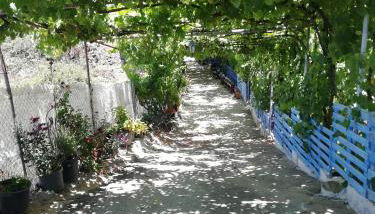 Casa Mari Carmen y Jose - Foto 3