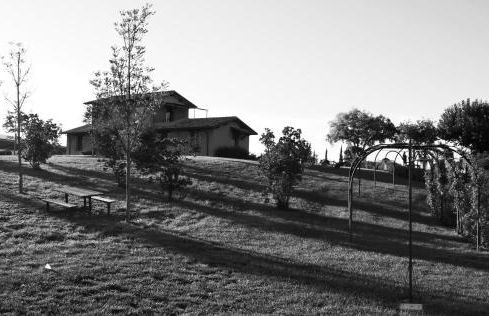 Tenuta del Perugino - Foto 58