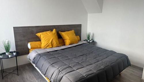 Appartement confortable Andrezieux Boutheon - Foto 4