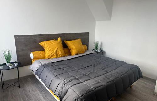 Appartement confortable Andrezieux Boutheon - Foto 4