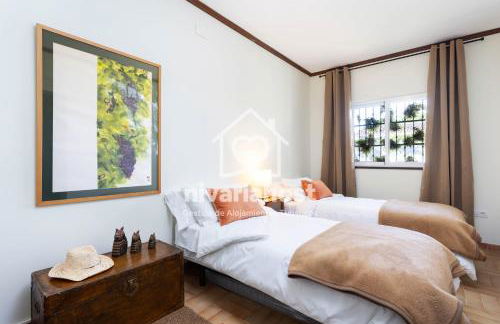 Tegas: Tacoronte, by Nivariahost - Foto 17