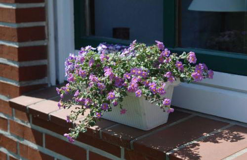 Ferienwohnung Nachbars Garten - Photo 27