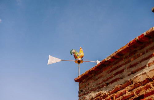 Casa Bolinho Ilha do Ferro - Foto 8