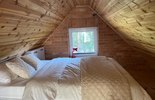 Raj na Kaszubach - Pałubicka Bór - Domy na Wynajem - Foto 73