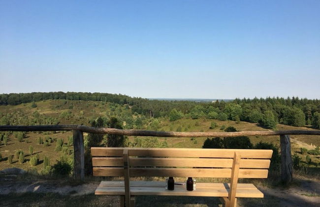 Heidetraum in der Pension Heidetraum - Photo 32