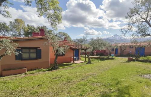 Aldea Vetonia Alojamientos con Encanto Parque de Mascotas-NO SE ACEPTAN EN JULIO Y AGOSTO- Varias zonas infantiles y deportivas "encuentranos y reserva para verano" - Foto 21