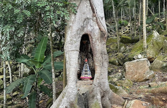 Casa de Vidro - Hospedar com Propósito - Photo 44