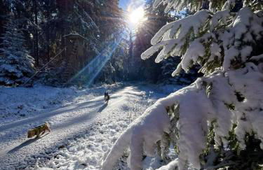 Ferienhaus Robin - Foto 7