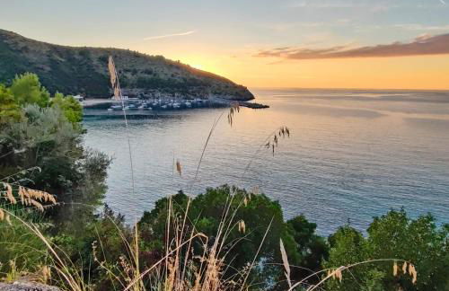 Sweet home Palinuro - Foto 2