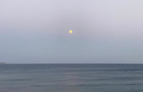 Terry Studio - Foto 51