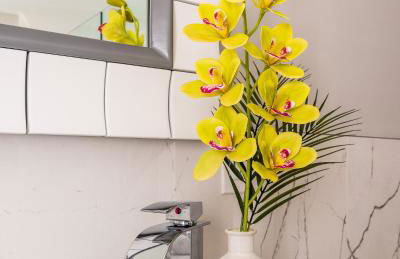 Lago-mar Luxury Modern Waterfront Home - Foto 8