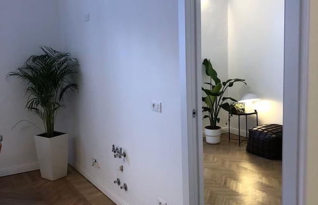 BnButler - Guercino 8 - Photo 10