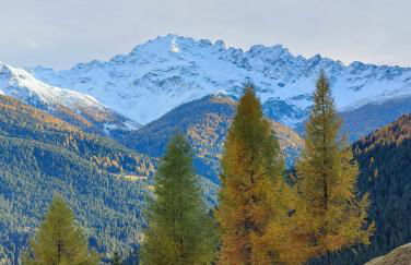 Casa Producena - Foto 18