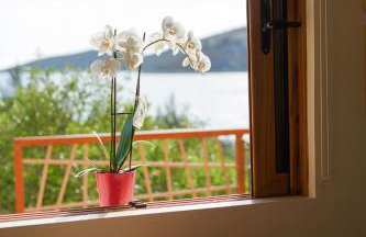 Into The Blue Apartment - Photo 18