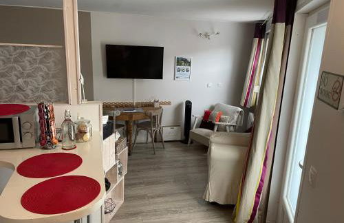 Studio rez-de-chaussée, à Lesquin/Lille aéroport - Photo 17