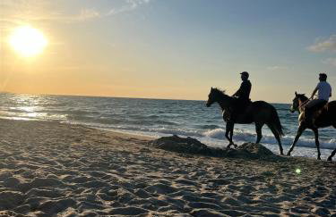 Casa Curiosa - Foto 36