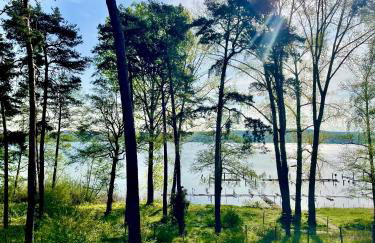 Bad Seerose mit Seeblick, Dachterrasse, Pool und Sauna - Photo 6