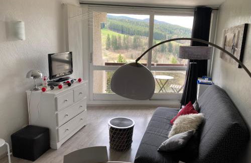 Au pied des pistes Côte 2000 - Le Balcon de Villard de Lans - Foto 27