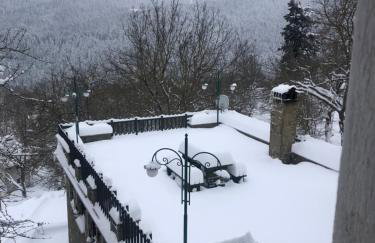 Πατρικό ολόκληρος ξενώνας entire stone guesthouse - Foto 59