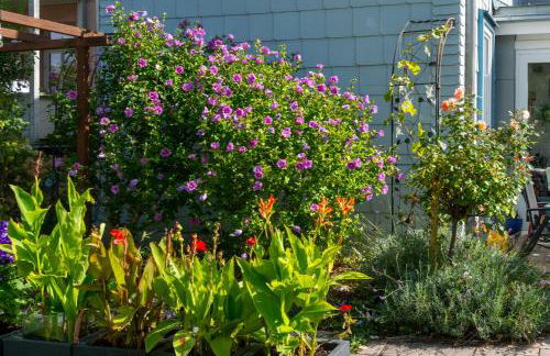 Villa Regina Waldblick - Foto 19