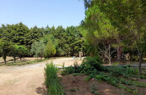 Lemontree Apartments - Foto 46