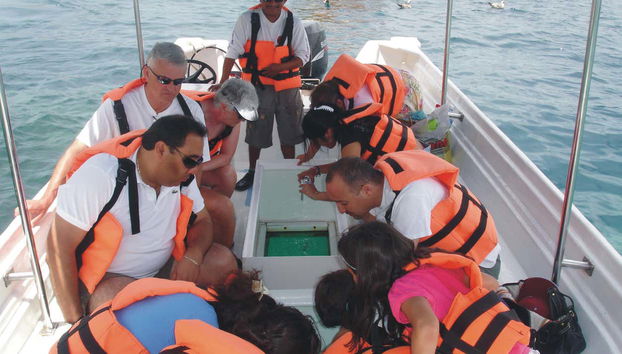 Glass Bottomed Boat Ride - Foto 3