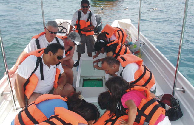 Glass Bottomed Boat Ride - Foto 3