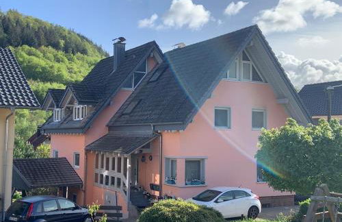 FeWo Sulzbachtal, Nähe Europa-Park, Rulantica, Schwarzwald, Feldberg - Foto 62