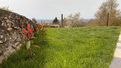 NocasHouse Lousa - Foto 3, Garden