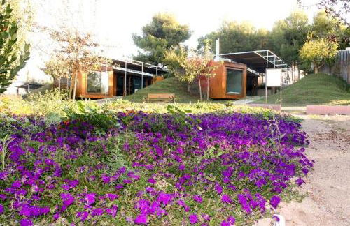 Centro de Agroecologia y Medio Ambiente de Murcia - Foto 19