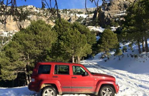 Apartamentos La Granja - Foto 50