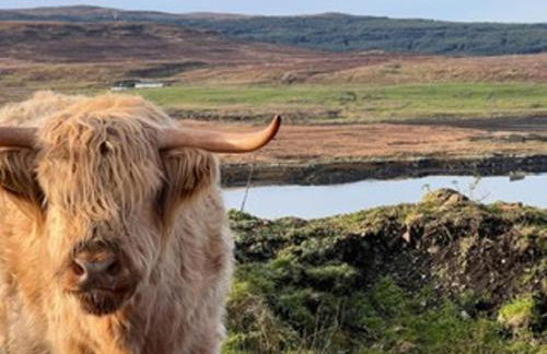 No 4 old post office row Isle of Skye - Foto 12