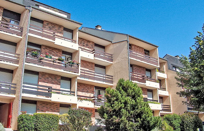 Le Sporting - Foto 15