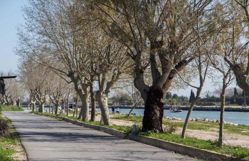 Big Terrace Apartment Cullera - Foto 61